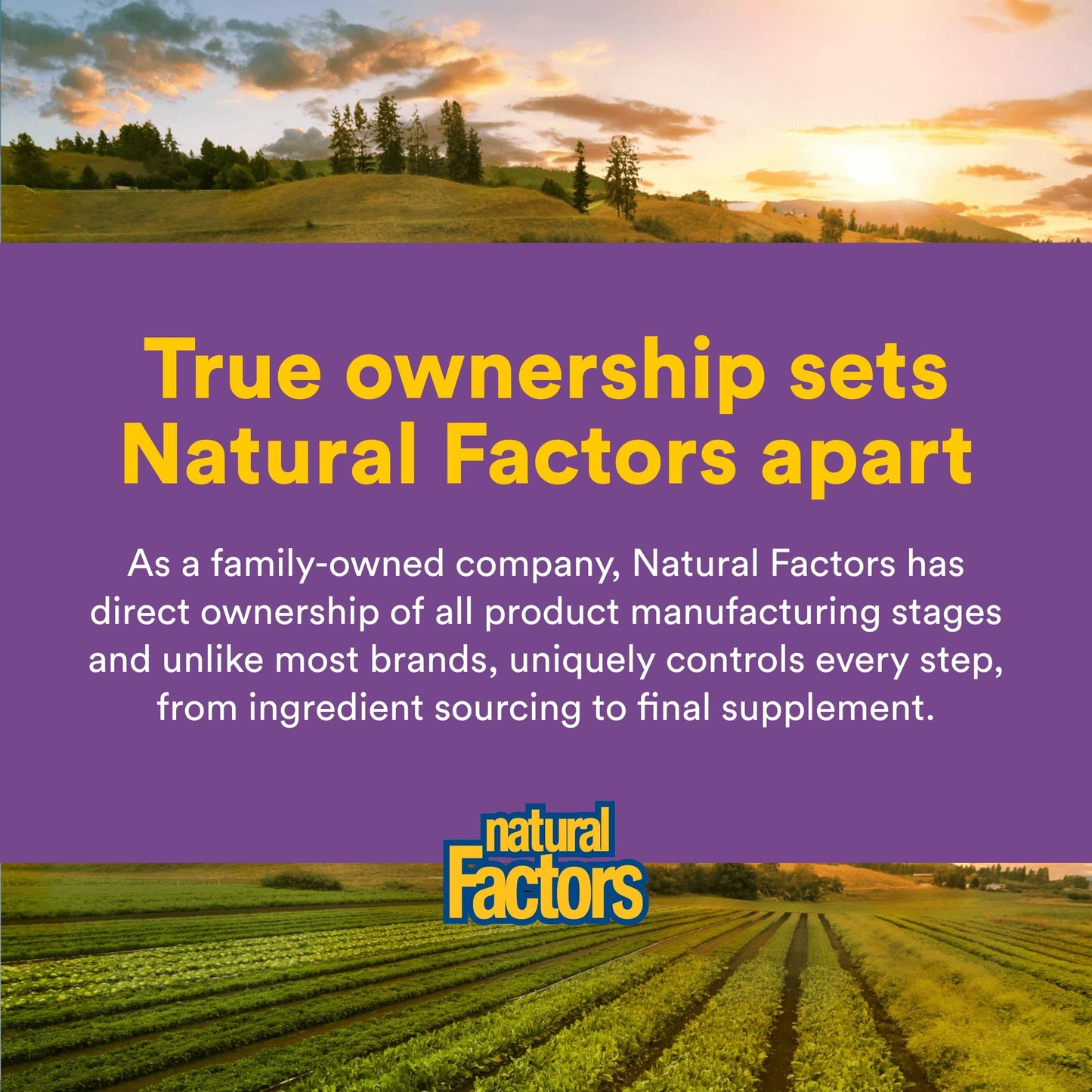 Natural Factors Pharma GABA - Dietary Supplement Supports Calm Sleep & Sleep Quality - Natural, Fast-Working Supplement Aids Focus & Brain Health - 60 Chewable Tablets (60 Servings) Natural Factors buy supplements Au