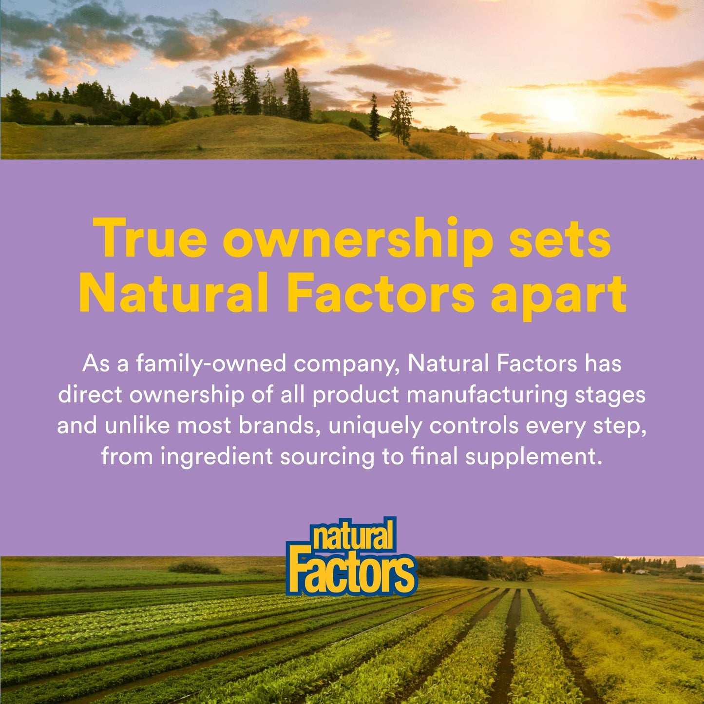 Natural Factors Pharma GABA - Dietary Supplement Supports Calm Sleep & Sleep Quality - Natural, Fast-Working Supplement Aids Focus & Brain Health - 120 Chewable Tablets (60 Servings) Natural Factors buy supplements Au