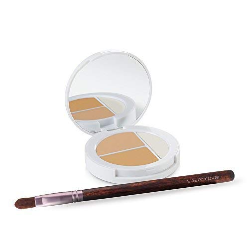 Sheer Cover Studio – Conceal and Brighten Highlight Trio – Two-Toned Concealers – Shimmering Highlighter – Light/Medium Shade – With FREE Concealer Brush – 3 Grams Sheer CoverBuy Supplements Australia