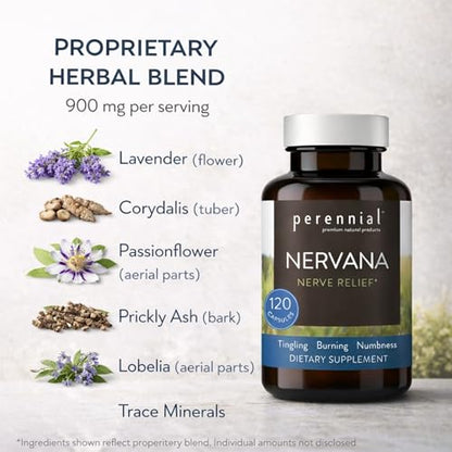 Perennial Nervana – Herbal Nerve Support for Tingling, Burning & Numbness Relief – Promotes Calm Focus & Stress Resilience – Non-Drowsy Mood Balance – 120ct* PerennialBuy Supplements Australia