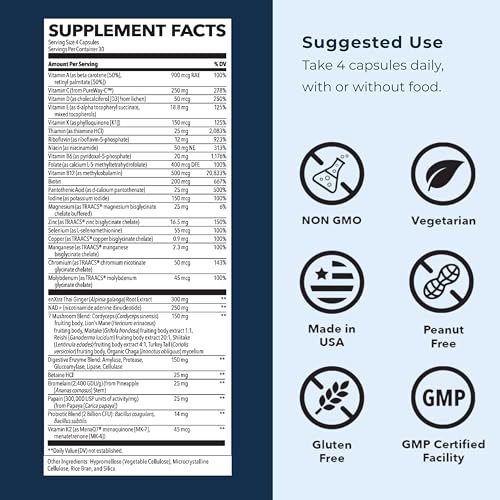 LifeSeasons Men's Multivitamin – High Potency with 21 Vitamins & Minerals, PureWay-C®, NAD+, Active B-Vitamins, TRAACS® Chelates, enXtra® for Energy, Probiotics & Mushrooms – 120 Veg Capsules LifeSeasons buy supplements Au