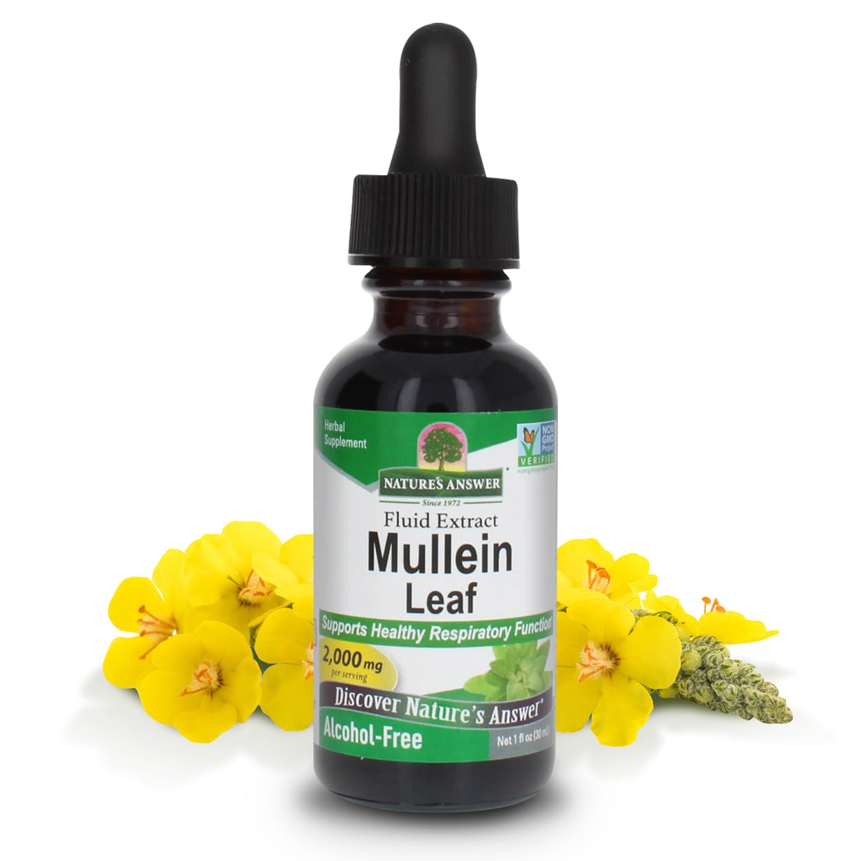 Nature's Answer Mullein Herb - Mullein Leaf Extract for Lungs - Alcohol Free, Non GMO, Made in USA - Supports Respiratory Function & Promotes Healthy Lungs