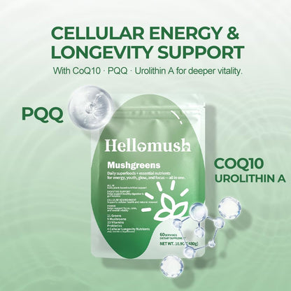 Hellomush Super Greens Powder Superfood, Daily Green Powder Supplement with Probiotics Drink Mix for Men & Women, Blend of Greens, Mushrooms, Vitamins, Probiotics and Cellular Nutrients HellomushBuy Supplements Australia