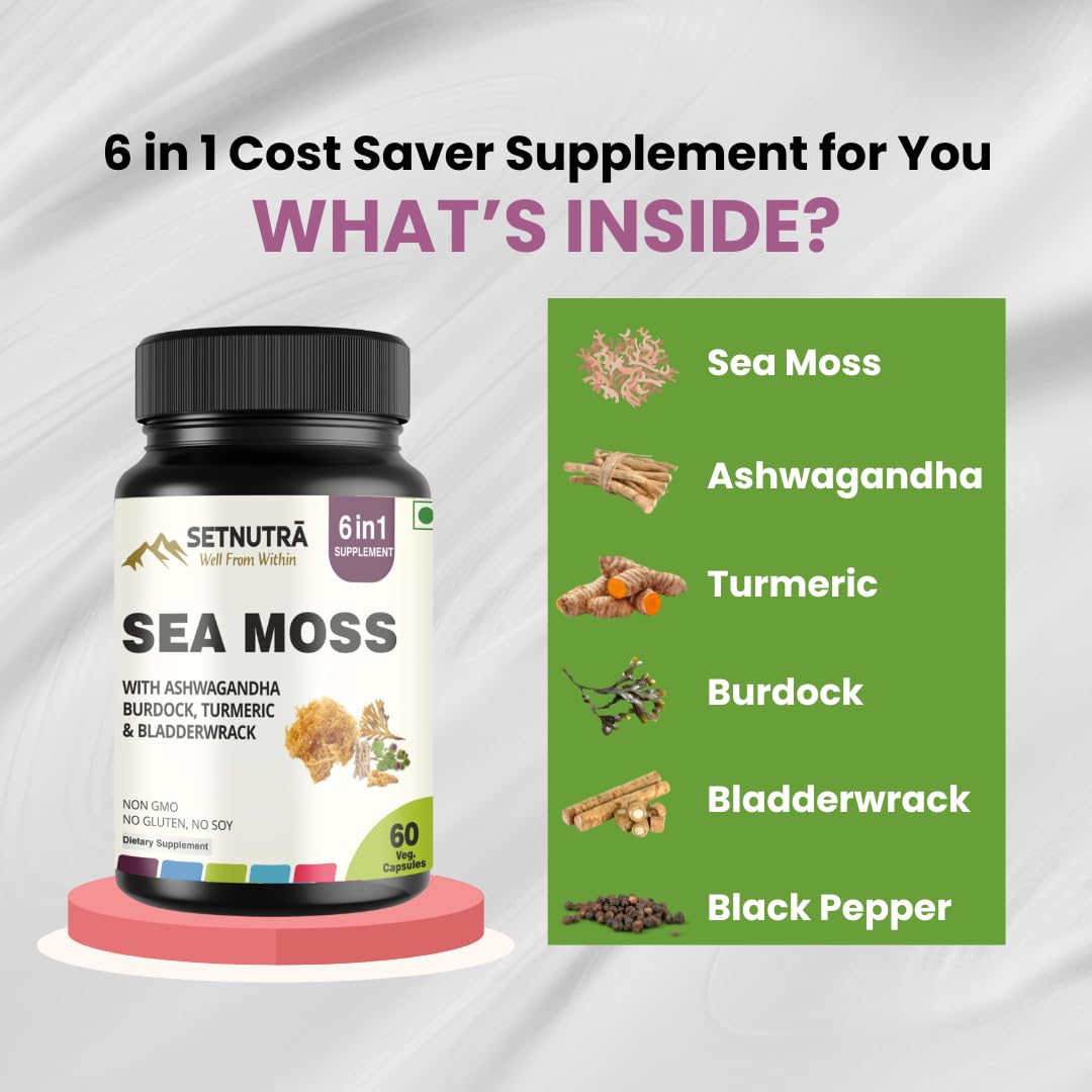 SETNUTRA Well From Within Sea Moss 6 in 1 Super Blend Ashwagandha Burdock Turmeric & Bladderwrack Immunity & Detox Support 60 Veg Capsules Non GMO No Gluten SETNUTRA Well From Within buy supplements Au