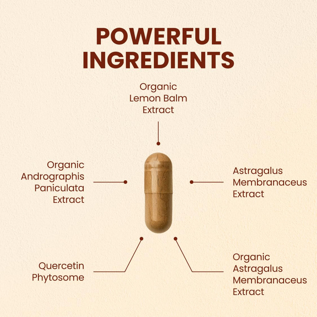 CHOQ Armor - Vegan Capsules - Professional-Grade Immune Defense - 20x Absorption Quercetin Phytosome - Andrographis - Astragalus - Supports Healthy Histamine Levels CHOQBuy Supplements Australia