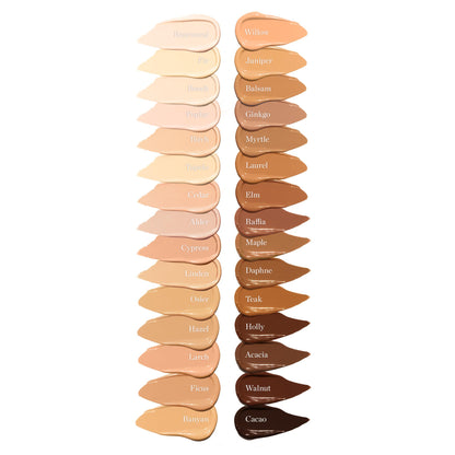 Ogee Complexion Perfecting Under Eye Concealer - Certified Organic Full Coverage Concealer - Buildable Coverage - OSIER 1.75W - Light Medium (Olive Undertones) OgeeBuy Supplements Australia