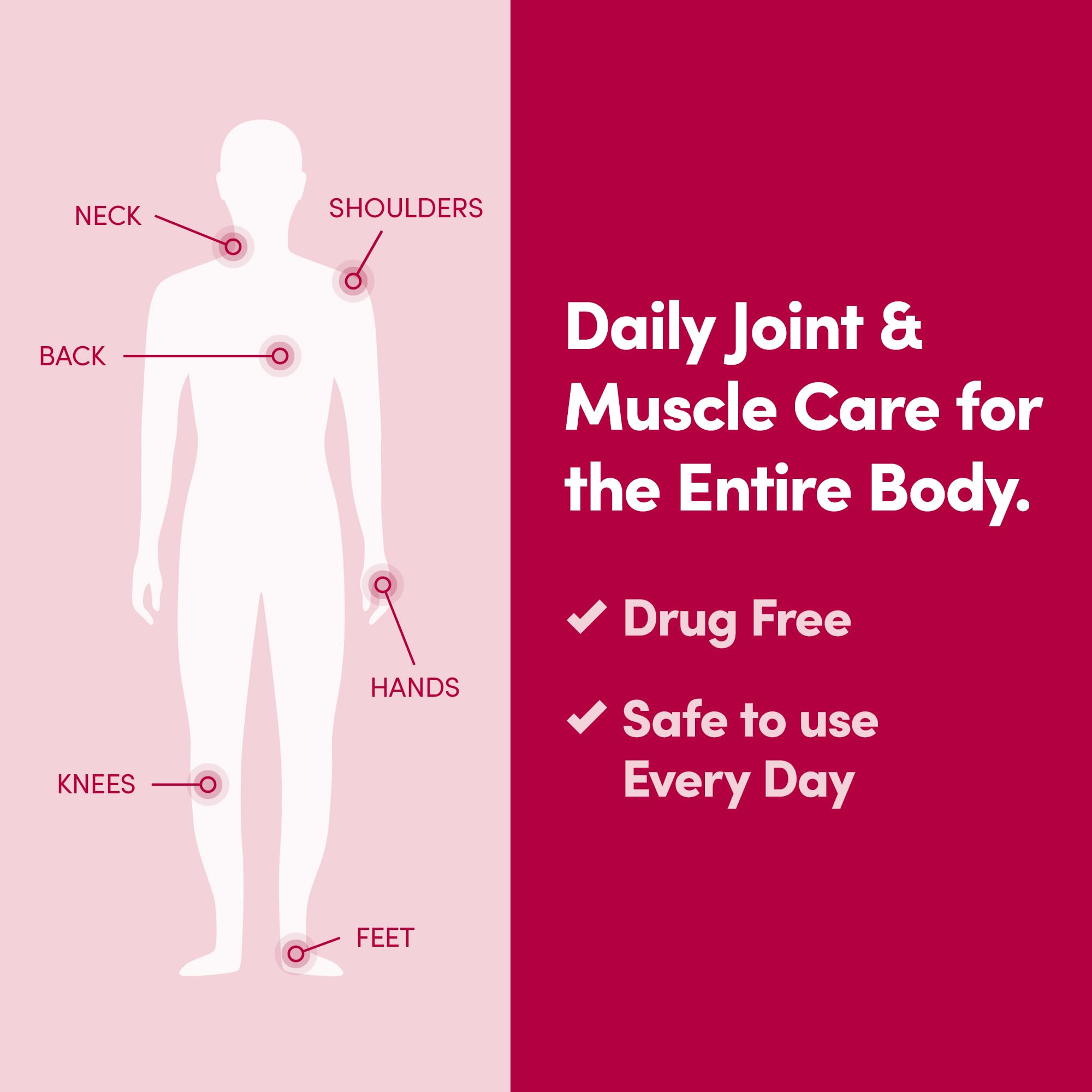 Penetrex Daily Joint & Muscle Care Cream – Soothing Botanical Formula with Arnica, Vitamin B6 & MSM – Lightweight Fast-Absorbing Cream for Everyday Movement - Non-Greasy - Light Scent- 2 oz PenetrexBuy Supplements Australia