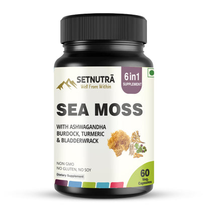 Setnutra Sea Moss supplement bottle on a white background