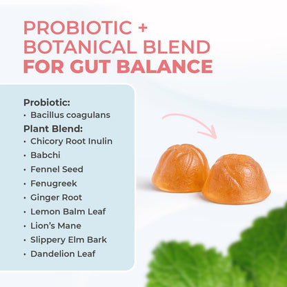 Nature’s NutriWave PrimeBiome Probiotic Gummies – Plant-Based Blend with Inulin, Lion’s Mane, Ginger & More– Non-GMO, No Stimulants, GMP Certified – 30 Gummies, 3 Month Supply Nature’s NutriWaveBuy Supplements Australia