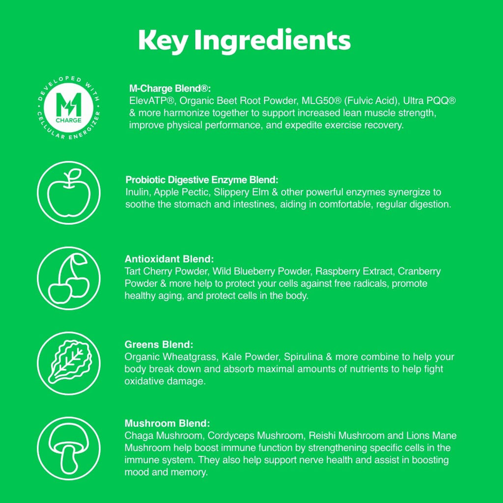 L'Evate You Vitality Daily Greens Powder (28 Servings) 30 Superfoods, 9 Greens - for a Cellular Energy Boost, Powered by M-Charge Complex for All Day Energy (Original) Steve Harvey's L'Evate You buy supplements Au