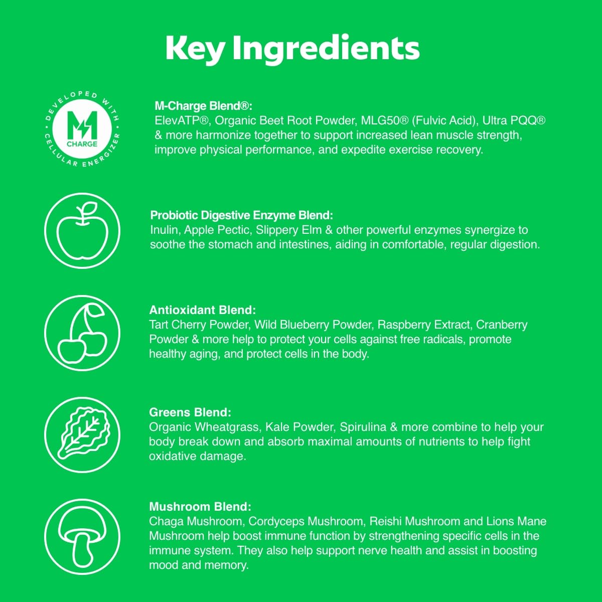 L'Evate You Vitality Daily Greens Powder (28 Servings) 30 Superfoods, 9 Greens - for a Cellular Energy Boost, Powered by M-Charge Complex for All Day Energy (Original) Steve Harvey's L'Evate You buy supplements Au
