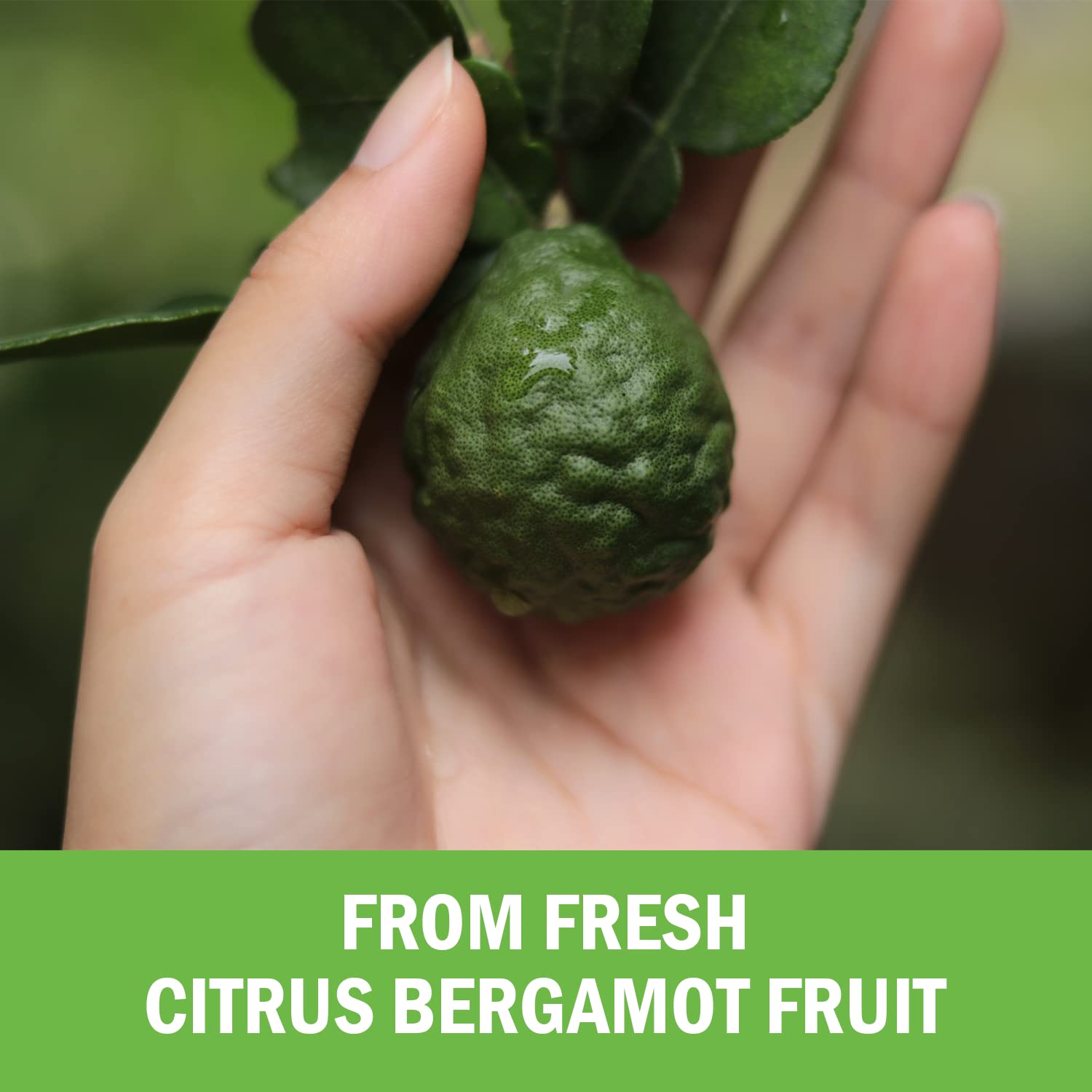 Citrus Bergamot 1000mg - Citrus Bergamot Supplement for Cholesterol and Heart Health - Ultra Concentrated from Fresh Fruit for Enhanced Absorption - Vegan, Non-GMO, Gluten-Free - 120 Mini Capsules BioSchwartzBuy Supplements Australia