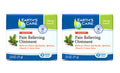Earth's Care Triple Action Pain Relieving Ointment, No Parabens, Colors or Fragrances, Allergy-Tested 2.5 OZ. (2 Jars) Earth's CareBuy Supplements Australia