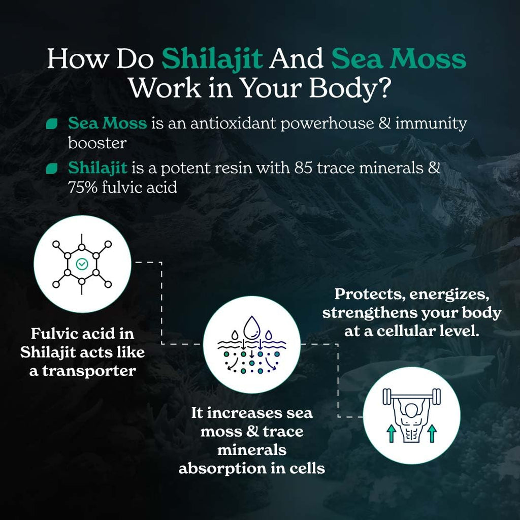 Better Alt Shilajit Sea Moss Capsules Pack of 2 with Ashwagandha & Black Pepper Extract with 85+ Essential Minerals & Antioxidants| Boosts Energy & Metabolism - 120 Servings, 240 Capsules Better AltBuy Supplements Australia