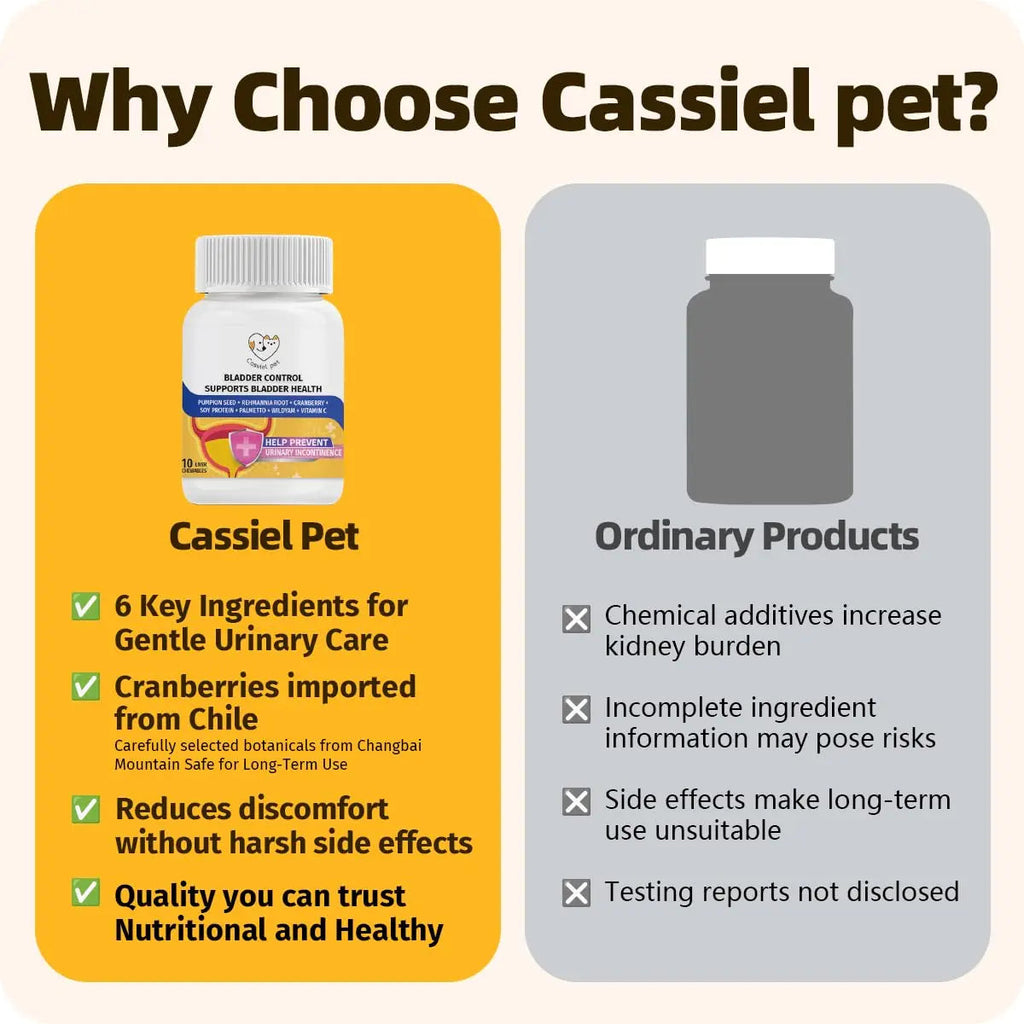 Cassiel Pet Bladder Supports Chews for Urinary Tract Health, Infection Treatments, Bladder Health, Dog UTI, Bladder Stones, Incontinence Support, Urinary Pain Relief for Cat & Dog 10 Chews (1 Bottle) Cassiel petBuy Supplements Australia