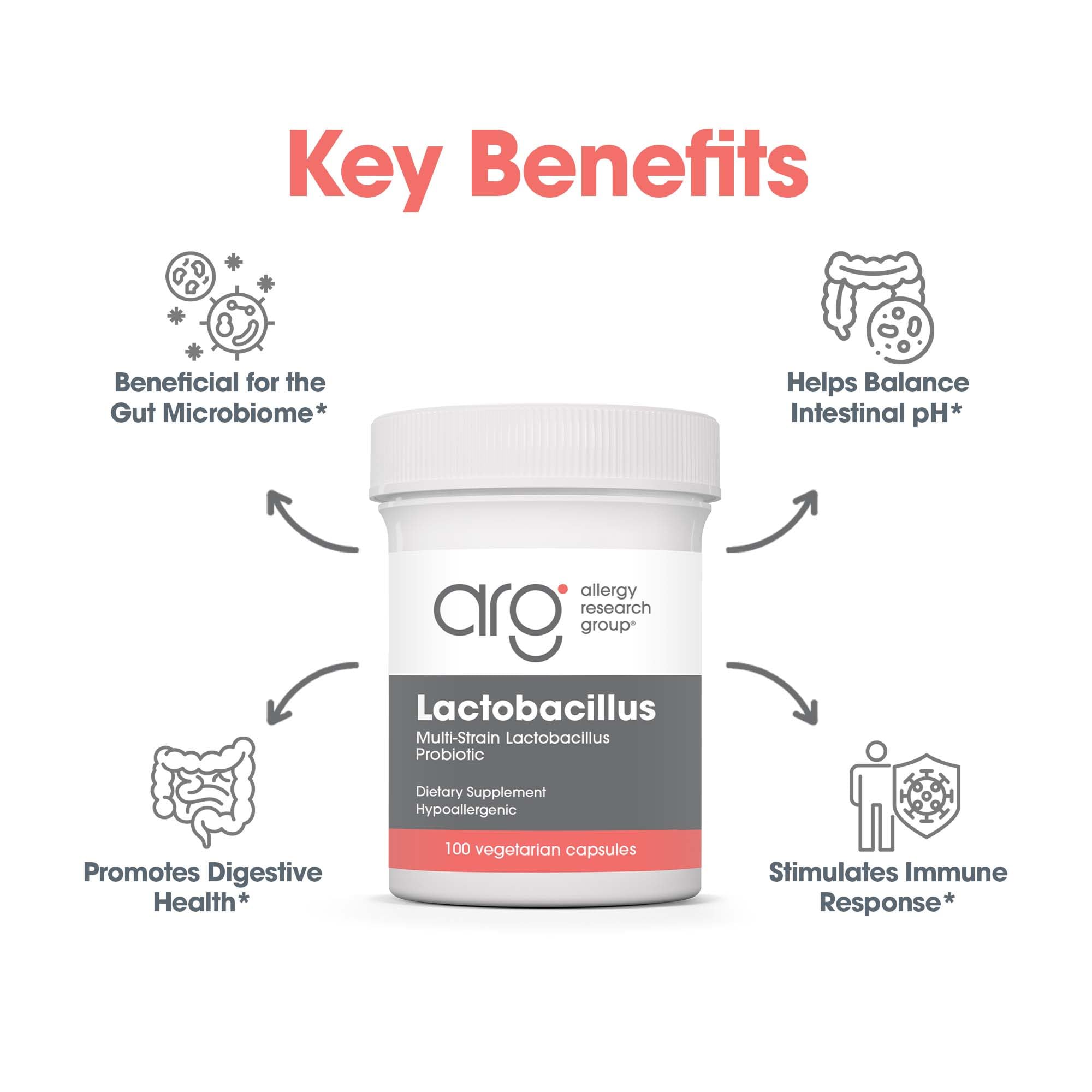 Allergy Research Group Lactobacillus Supplement - Probiotics for Men & Women, Digestive Health, Gut Health, Vegetarian Capsules - 100 Count Allergy Research GroupBuy Supplements Australia