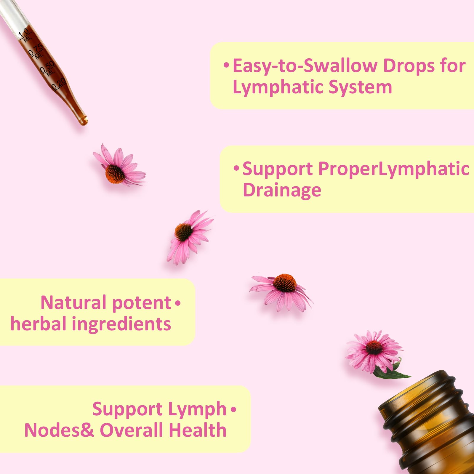 Liposomal Lymphatic Drainage Drops, Lymphatic Support with Echinacea, Dandelion, Turmeric, Burdock, Elderberry, and Calendula, Lymph System Support & Immune Health Aegisvital buy supplements Au