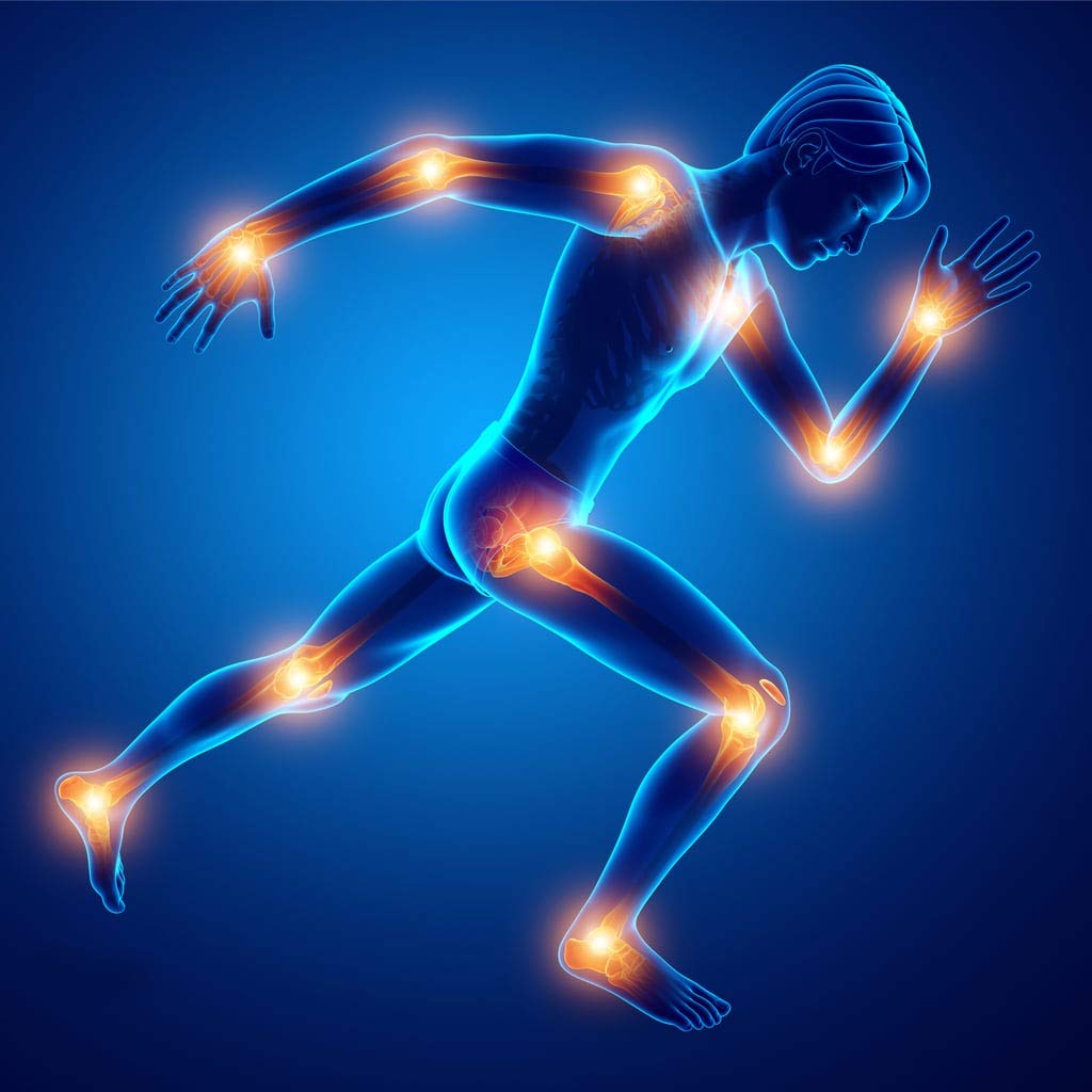 Premium Joint Blend - Joint Matrix Complex - Essential Minerals, Balanced Formula, Complete Joint Complex, Fitness Support, Advanced Formula, Body Flexibility, Joint Blend 1 Bottle 90 Capsules Healthy Supplements LLCBuy Supplements Australia