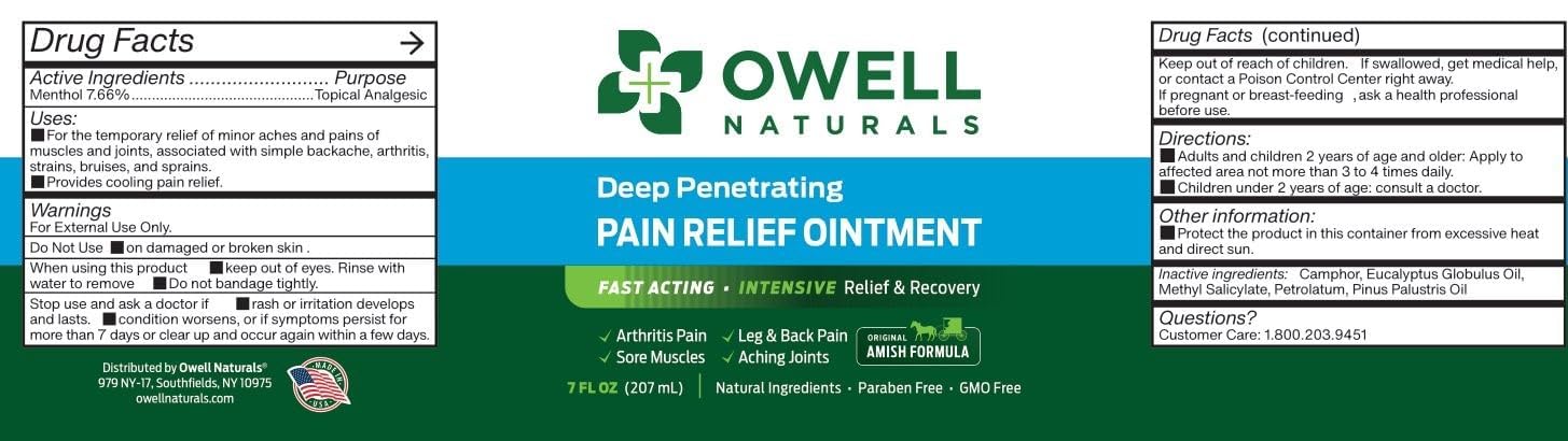 OWELL NATURALS Arthritis Pain Relief Ointment with Arnica & MSM – Deep Penetrating Joint & Muscle Therapy for Knee, Back, Sore Muscles, Legs, 3.5 oz (2 Pack) Owell NaturalsBuy Supplements Australia