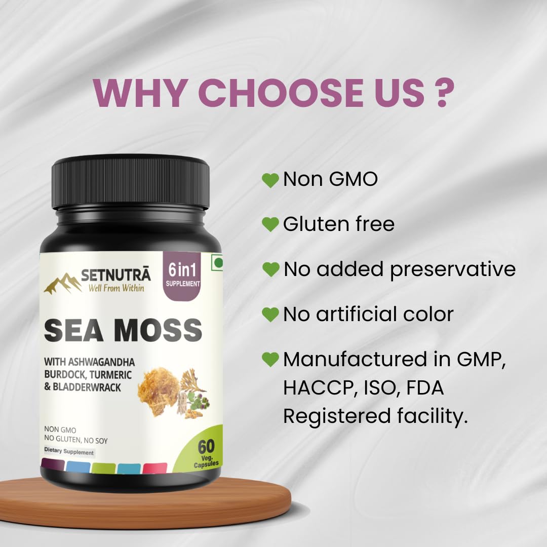 SETNUTRA Well From Within Sea Moss 6 in 1 Super Blend Ashwagandha Burdock Turmeric & Bladderwrack Immunity & Detox Support 60 Veg Capsules Non GMO No Gluten SETNUTRA Well From Within buy supplements Au