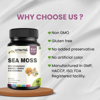 SETNUTRA Well From Within Sea Moss 6 in 1 Super Blend Ashwagandha Burdock Turmeric & Bladderwrack Immunity & Detox Support 60 Veg Capsules Non GMO No Gluten SETNUTRA Well From Within buy supplements Au