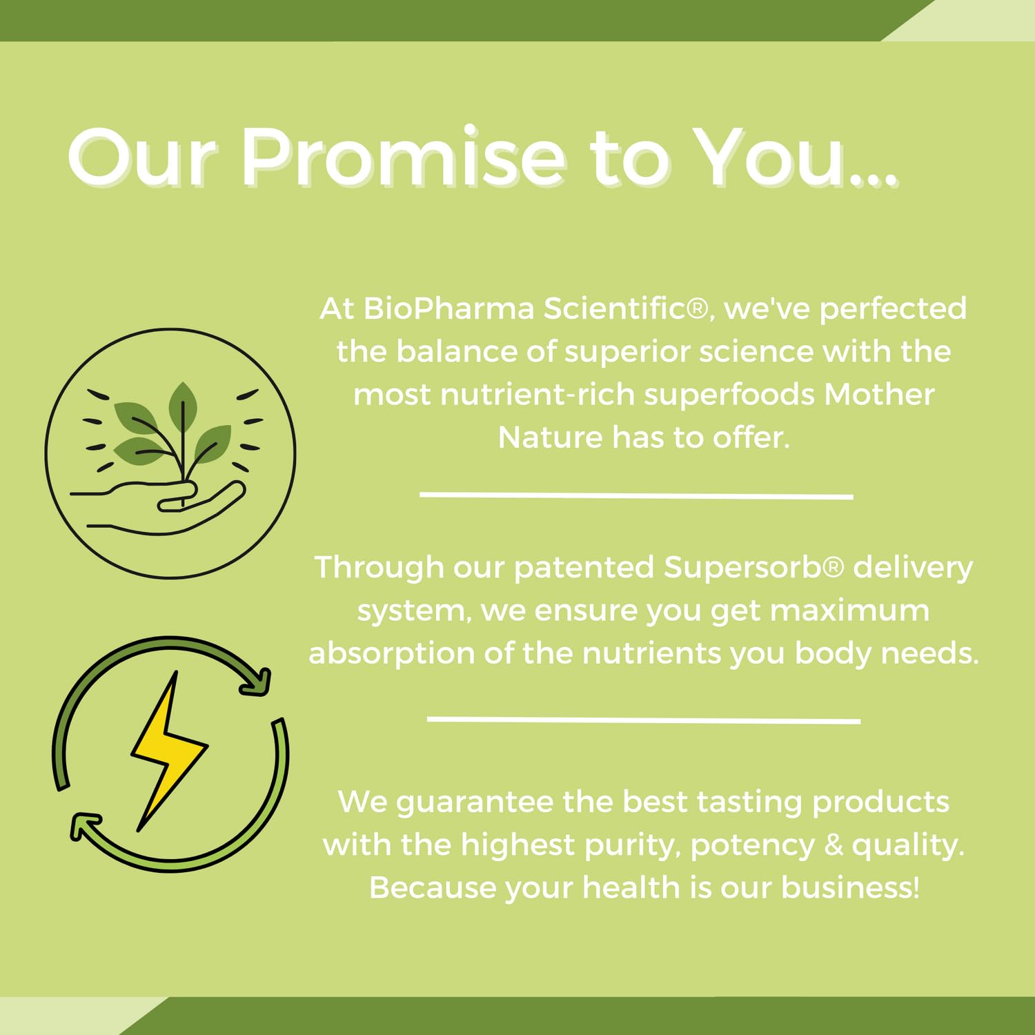 NanoMeal Plant-Based All-in-One Nutrition | Superfood Meal Replacement Powder | Tropical Fruit Blend | 10 Servings | Protein, Greens & Omega for Gut & Immune Support Biopharma Scientific buy supplements Au