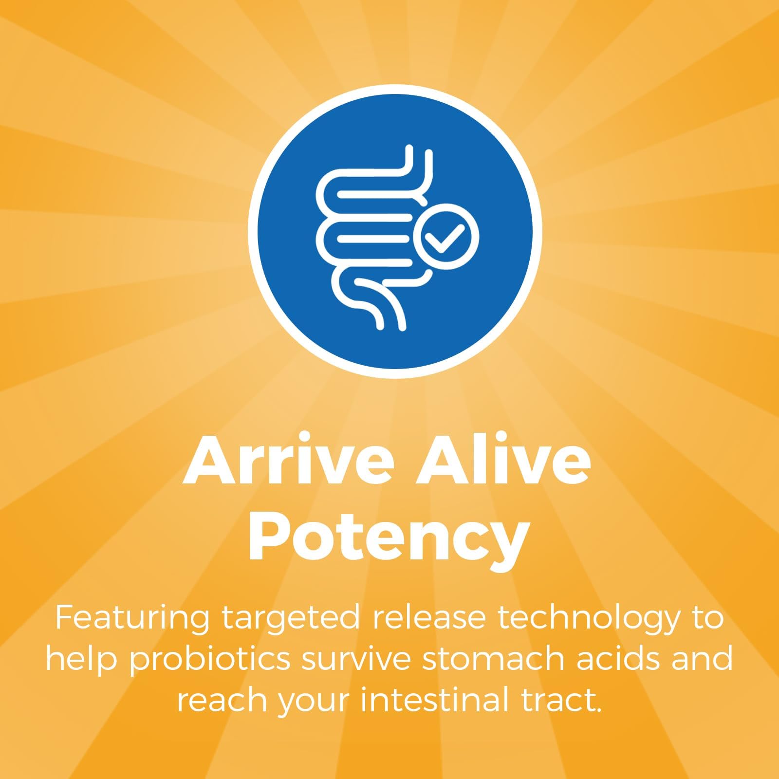 NewRhythm Probiotics 50 Billion CFU 20 Strains, 60 Veggie Capsules, Targeted Release Technology, Stomach Acid Resistant