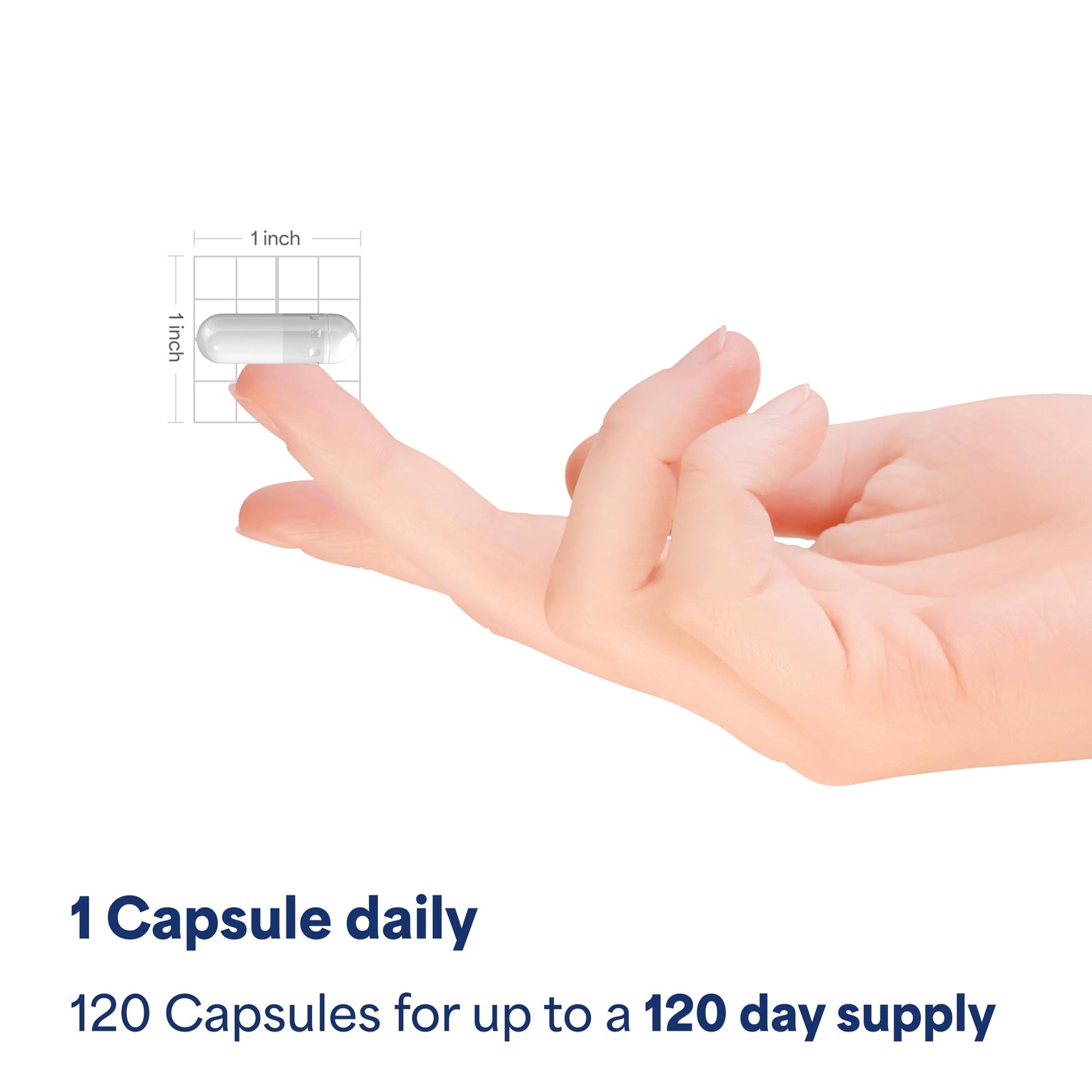 Puritan's Pride Triple Magnesium Complex with Magnesium Oxide, Aspartate, and Citrate 400mg, Dietary Supplement for Muscle, Heart, Nerve, and Bone Support, 120 Rapid Release Capsules Puritan's Pride buy supplements Au