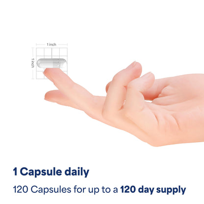 Puritan's Pride Triple Magnesium Complex with Magnesium Oxide, Aspartate, and Citrate 400mg, Dietary Supplement for Muscle, Heart, Nerve, and Bone Support, 120 Rapid Release Capsules Puritan's Pride buy supplements Au