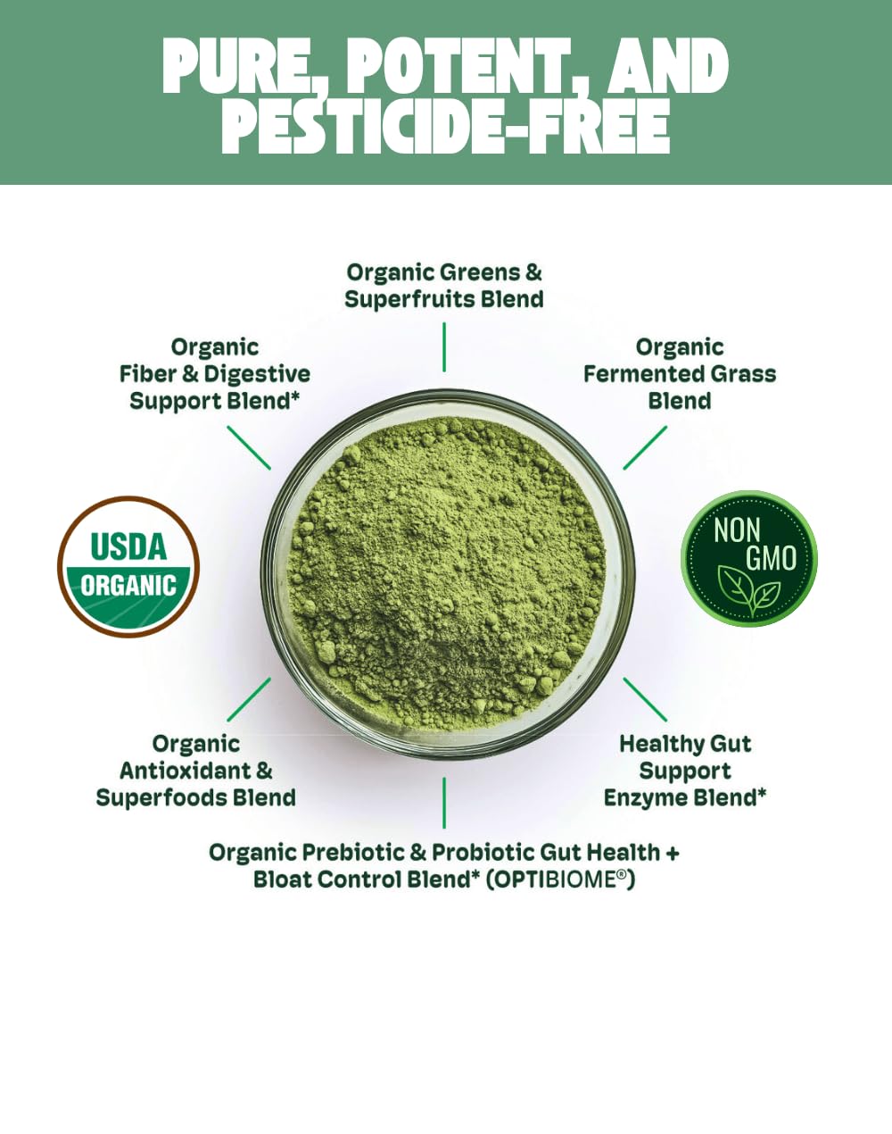 Cheerific Crisp Apple Greens Superfood Powder - 20+ Organic Superfoods + Prebiotic & Probiotics + More - Keto Friendly - Supports Positive Mood, Gut Health - Vegan, Gluten Free, Non-GMO - 30 Day Cheerific buy supplements Au