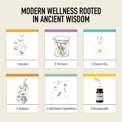 Living Alchemy Gut Health Supplements for Men & Women - Your Flora Probiotic Professional Digestion Supplement with Fermented Soybean, Prebiotics,