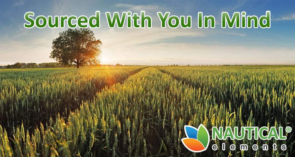 Wheatgrass Powder - USDA Certified Organic Wheat Grass Powder That Is Rich In Essential Amino Acids, Chlorophyll, Antioxidants, Fatty Acids, Minerals & Vitamins - US Grown - Vegan & Non-GMO Superfoods Nautical ElementsBuy Supplements Australia