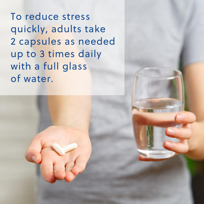 Relacore Quick Calm Mood Support Supplement with Ashwagandha, L-Theanine, Rapid Stress Relief and Relaxation – Cortisol Supplement - 60 ct Relacore buy supplements Au