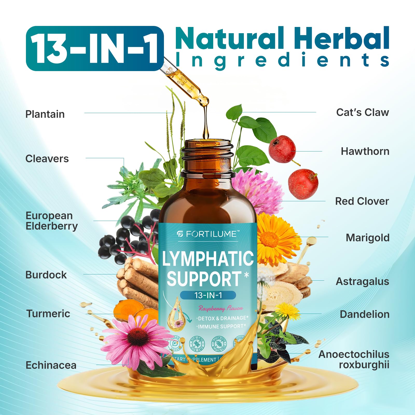 FORTILUME Liposomal Lymphatic Drainage Drops, 13 in 1 Lymphatic Support Drops with Elderberry & Echinacea, Immune & Lymph System Support, Raspberry Flavor, 2 Fl.Oz (30 Servings) FORTILUME buy supplements Au