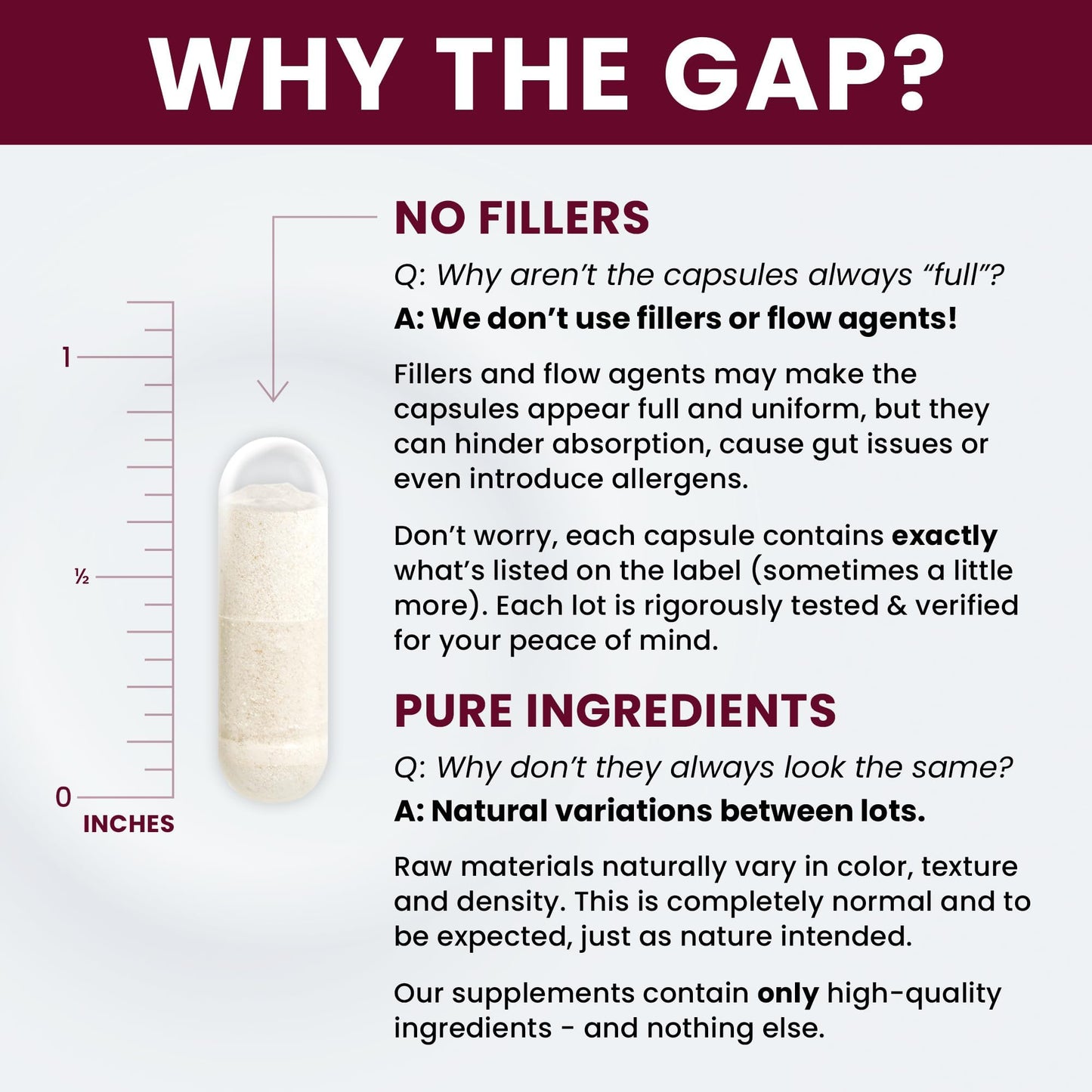 Saccharomyces Boulardii Probiotics 10 Billion CFU Made in USA | No Fillers Patented Strain: Lynside CNCM I-3799 Probiotics for Men and Women