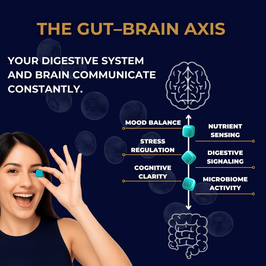Gut Health & Bloating Relief Gummies – Digestion Support with Prebiotic Fiber, Inulin & Ashwagandha – Stress, Nervous Stomach, Sleep & Calm Support – Gut-Brain Axis Formula