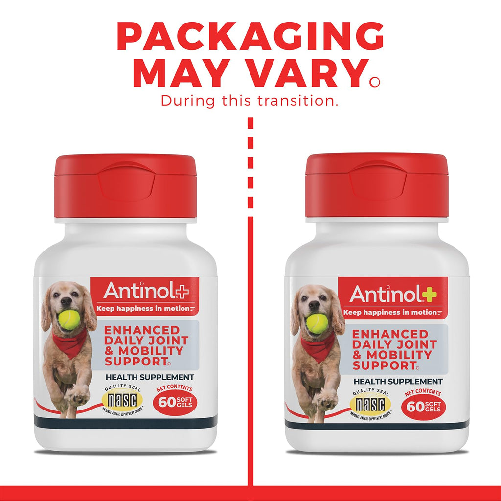 Antinol Plus, Mobility, Hip, and Joint Supplement for Dogs, Green-Lipped Mussels and Krill Oil - Dog Joint Supplement, Better and Faster Than Glucosamine and Chondroitin, 120 Soft Gels AntinolBuy Supplements Australia