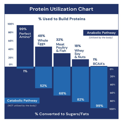 BodyHealth PerfectAmino, Essential Amino Acid with BCAAs + Lysine, Phenylalanine, Threonine, Methionine, Tryptophan, Supplement for Muscle Mass Production,