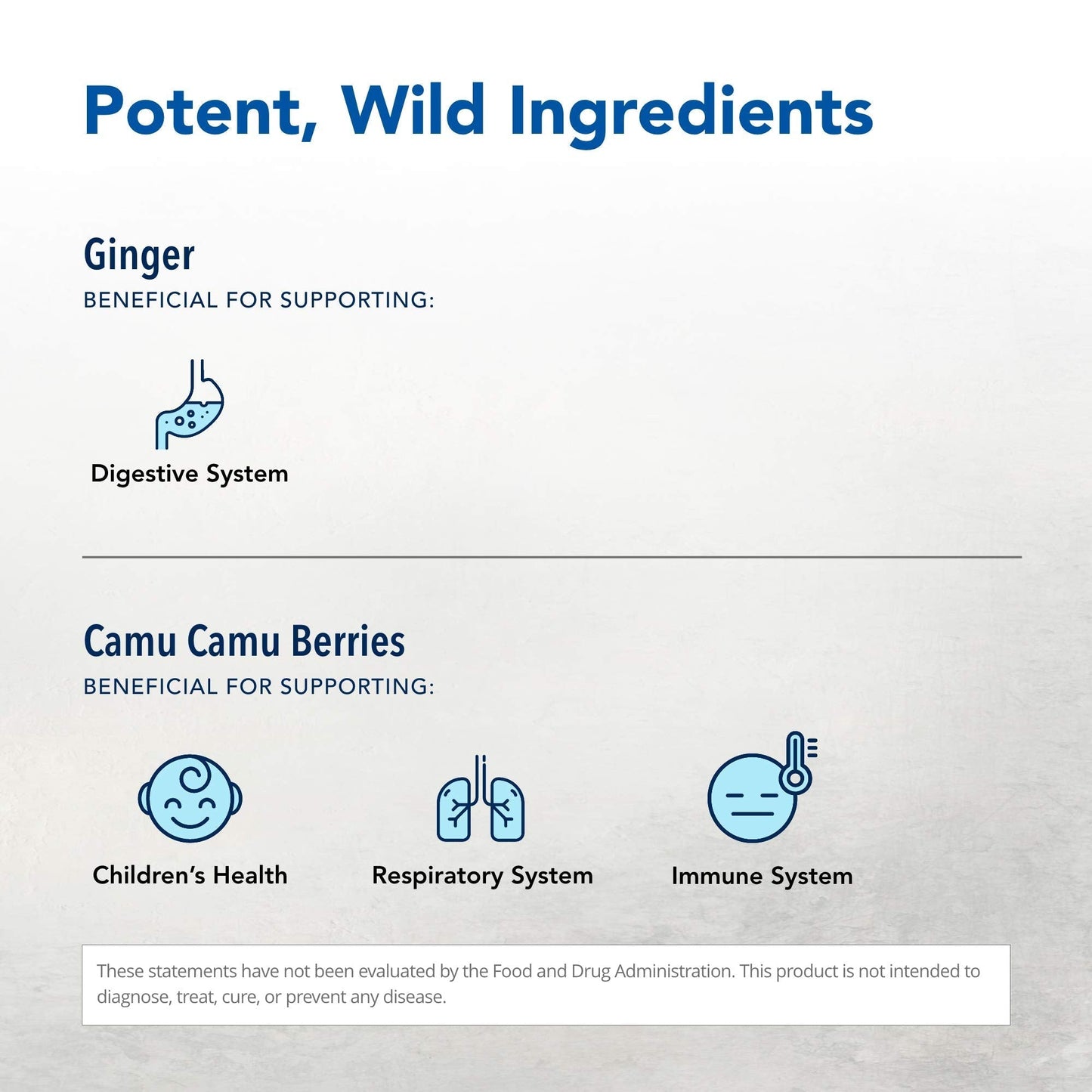 NORTH AMERICAN HERB & SPICE Inflam-eeZ - 90 Capsules - Supports Healthy Immune & Inflammatory Response - Ginger Root, Camu Camu Berries, Bromelain & Papain Plus - Non-GMO - 45 Total Servings NORTH AMERICAN HERB & SPICE buy supplements Au