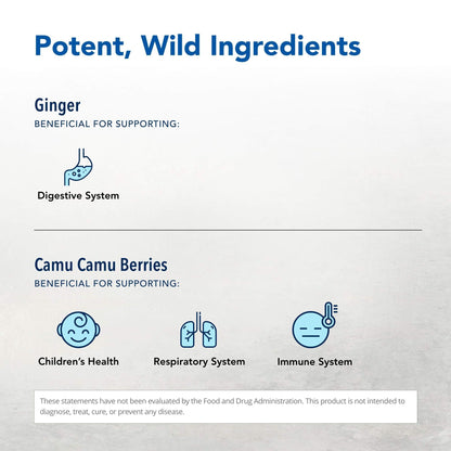 NORTH AMERICAN HERB & SPICE Inflam-eeZ - 90 Capsules - Supports Healthy Immune & Inflammatory Response - Ginger Root, Camu Camu Berries, Bromelain & Papain Plus - Non-GMO - 45 Total Servings NORTH AMERICAN HERB & SPICE buy supplements Au