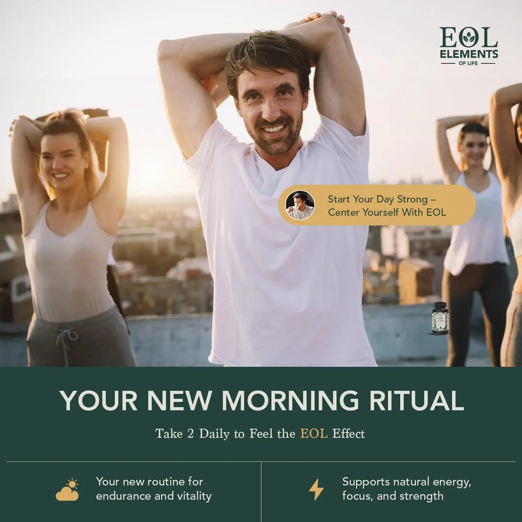 Multivitamin for Men with Vitamin D, K2, Zinc, Vitamin B12, A, E, B6, Calcium – Immune Health & Energy Support Daily Mens Multivitamins Elements of LIfe