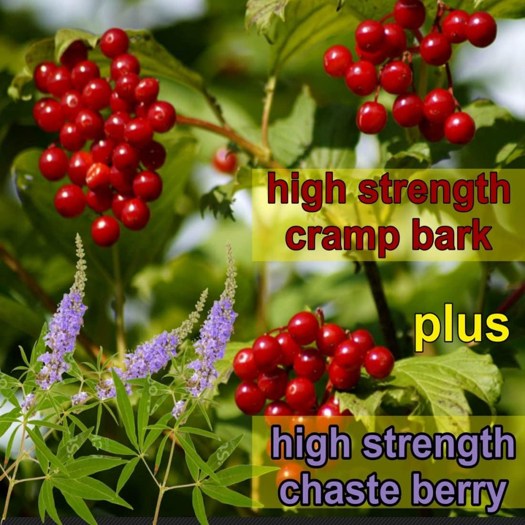 Menstrual Cramp Period Gummies True Roots | PMS Support Supplement for Women | Healthy Flow | Flo PMS Menstrual Cycle Relief, Cramping and Bloating | Vegan & Natural Flavors | 60 Count True RootsBuy Supplements Australia