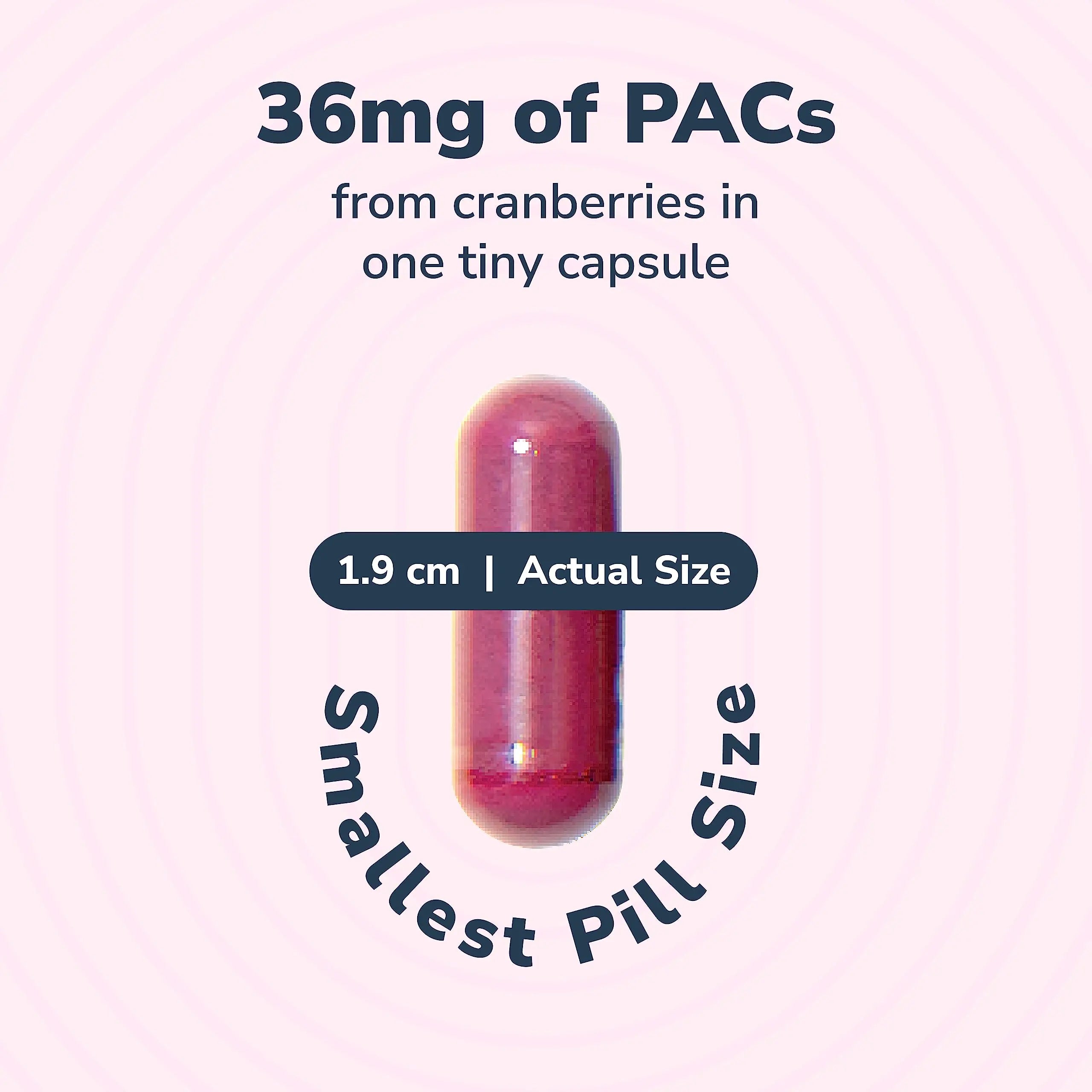20% Bundle Utiva Cranberry PACs 30 Vegi Capsules Cranberry Supplement for Urinary Tract Health for Women and Men + Utiva D-Mannose 500mg 120 Capsules Naturally Flush The Bladder and Urinary Tract Szio+Buy Supplements Australia