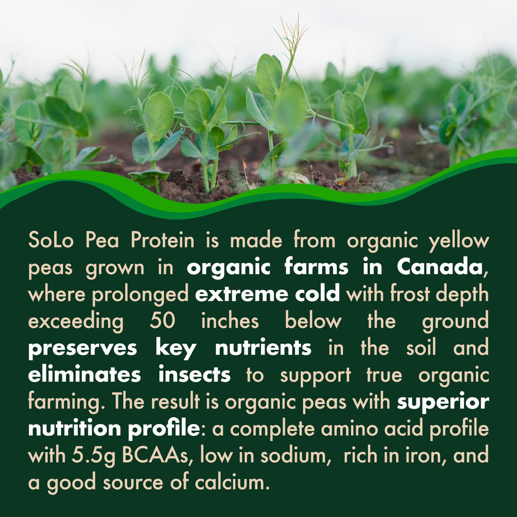 SOLO Organic Pea Protein Isolate, Low in Sodium, Canada Grown Peas, 100% Vegan, Non-GMO, Unflavored Plant Based Protein Powder with BCAA, Keto & Paleo Friendly,