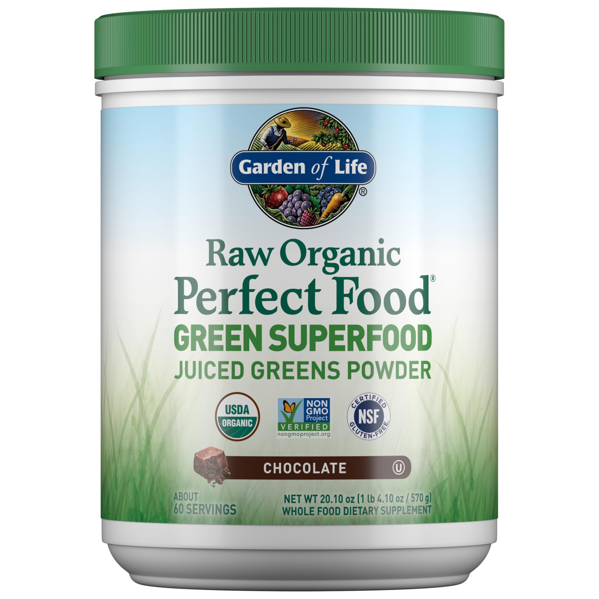 Garden of Life Raw Organic Perfect Food Green Superfood Juiced Greens Powder - Chocolate, 60 Servings, Non-GMO, Gluten Free, Vegan Whole Food Dietary Supplement Plus Probiotics, Enzymes Garden of LifeBuy Supplements Australia