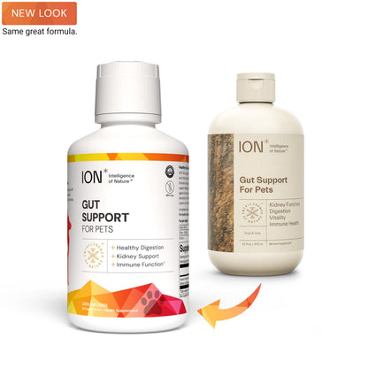 ION* Intelligence of Nature Gut Support For Pets - Liquid Probiotics Drops Alternative for Dogs & Cats, Digestive Health for Puppies, Skin & Hair Health - 16 fl oz (Pack of 1)