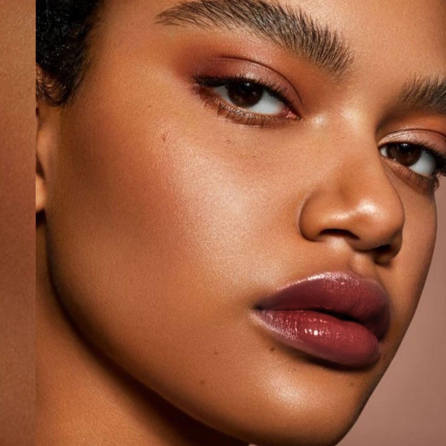 Depuplum Black Berry Lipstick for Women Hydrate Glossy Lipstick Moisture Lip Gloss Sheer-Medium Coverage Long Lasting Lipsticks for Dry Lips (DM65 Berry) DepuplumBuy Supplements Australia