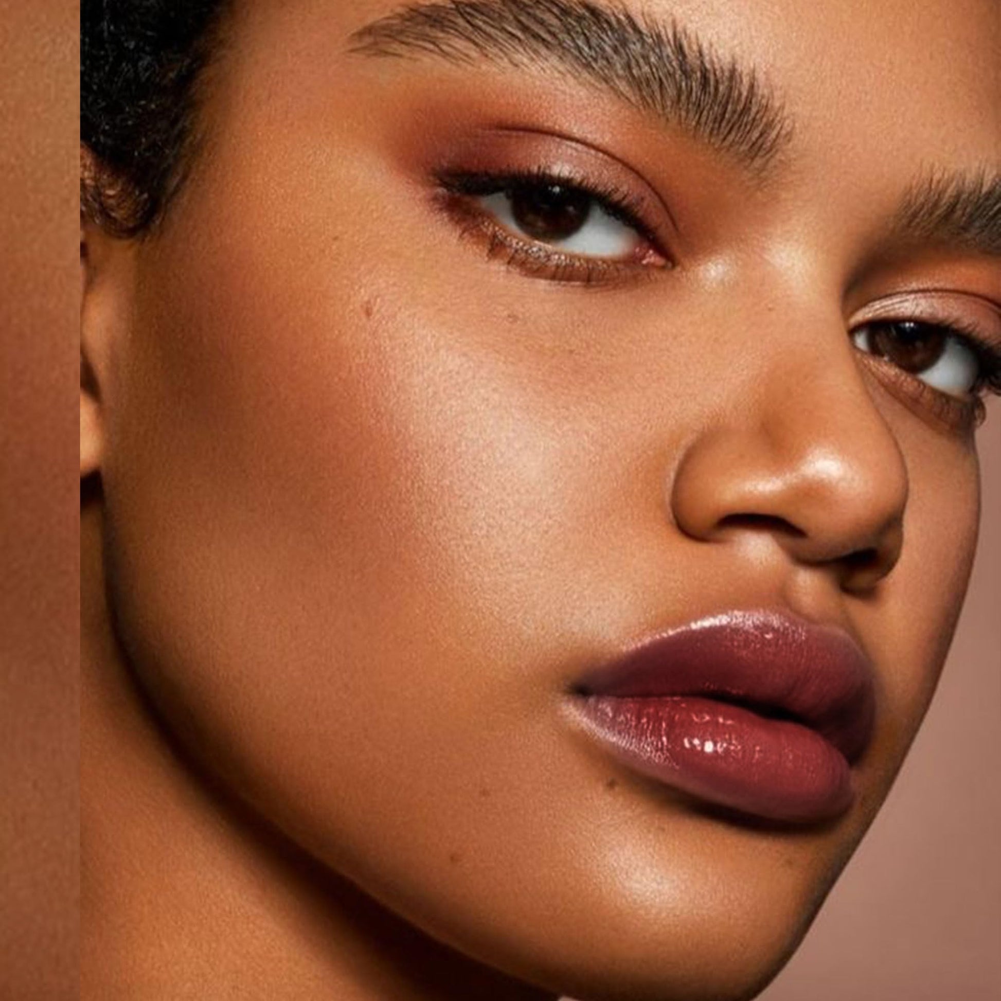 Depuplum Black Berry Lipstick for Women Hydrate Glossy Lipstick Moisture Lip Gloss Sheer-Medium Coverage Long Lasting Lipsticks for Dry Lips (DM65 Berry) DepuplumBuy Supplements Australia