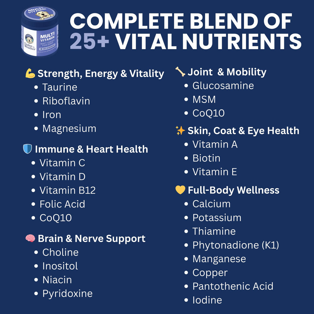 Under the Weather Multivitamin for Dogs | Vet Formulated Daily Canine Health Supplies for Immunity, Skin, Coat & Joint Support | All-in-One Multivitamin for Dogs of All Breeds & Sizes | 60 Count Under the Weather buy supplements Au