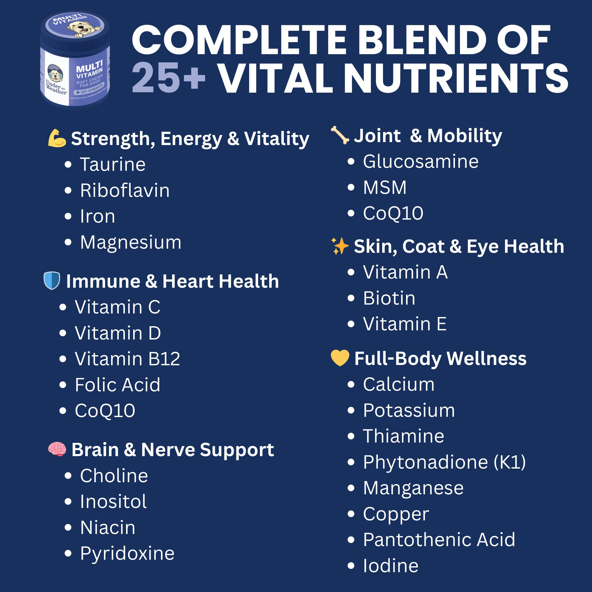 Under the Weather Multivitamin for Dogs | Vet Formulated Daily Canine Health Supplies for Immunity, Skin, Coat & Joint Support | All-in-One Multivitamin for Dogs of All Breeds & Sizes | 60 Count Under the Weather buy supplements Au